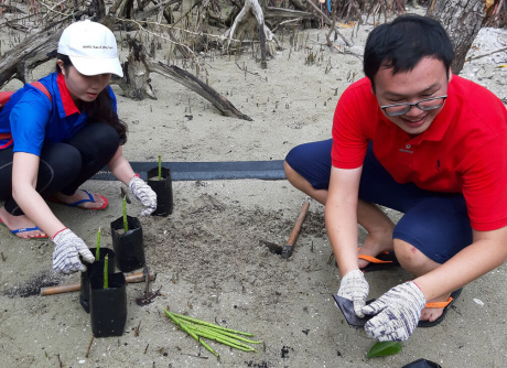 Beach Cleaning & Seed Harvesting in Bagan Lalang