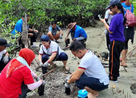 Beach Cleaning & Seed Harvesting in Bagan Lalang