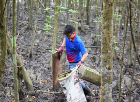 Mangrove Cleaning in Kuala Selangor
