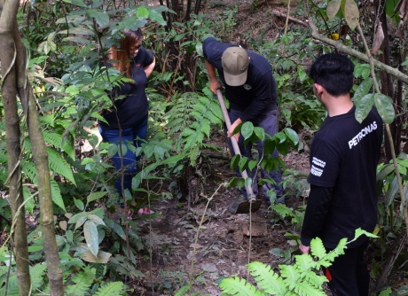 100 Merbau Trees were planted by PESTECH to preserve Bukit Persekutuan