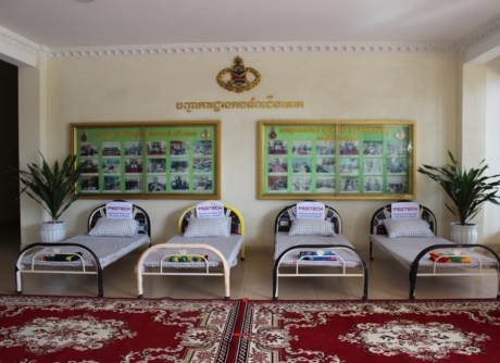 Bedding items such as beds, bed sheets, mattresses, pillows and blankets.