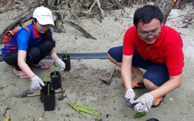Beach Cleaning & Seed Harvesting in Bagan Lalang