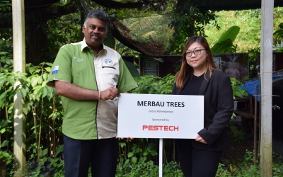 Donation of 100 Merbau Trees to MNS 