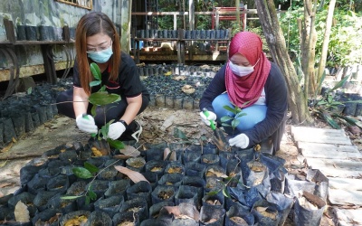 Employees of PESTECH helped to plant trees at MNS Headquarters